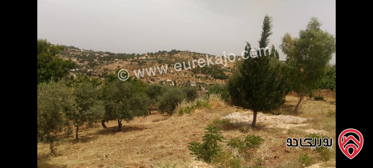 أرض مساحة 1693.4 متر مربع للبيع في أم جوزة – السلط