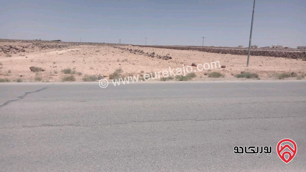 أرض مساحة 11 دونم للبيع في المفرق - الدفيانة