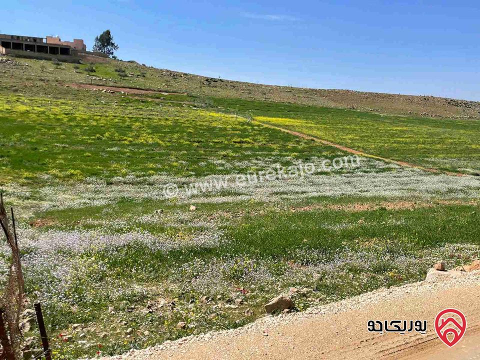 أرض مساحة 5 دونم و 500م للبيع في مادبا قرب الجامعة الامريكية