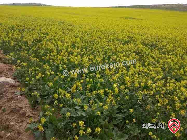قطعة أرض مساحة 700م للبيع في مادبا الخطابية غبنة اسكان المهندسين