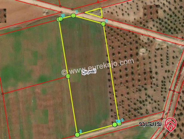 ارض للبيع مساحة 5500م في اربد - الصريح حوض العكليلك الشمالي