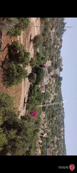 قطعة ارض مساحة 781م للبيع في عمان - شفا بدران حوض طاب كراع