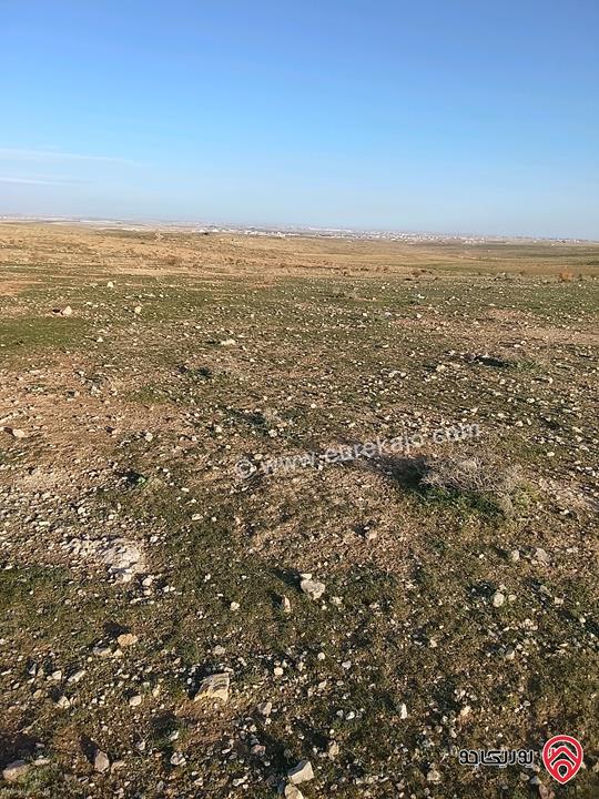 ارض مفروزة مساحة 100 دونم للبيع في المفرق