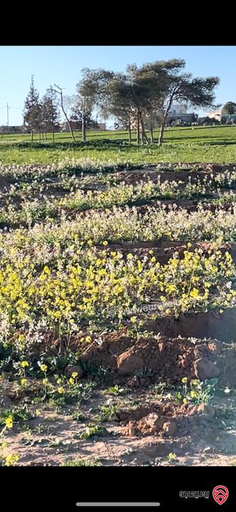 مزرعة مساحة الأرض 7 دونم و البناء 140م للبيع في الكرك