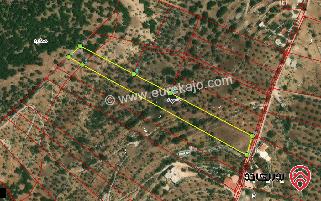 قطعة ارض مساحة 9 دونم و 161م للبيع في اربد - النعيمة 
