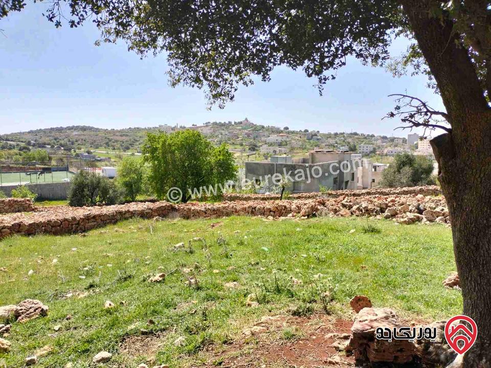 نمرة سكنية مميزة مساحة 833م للبيع في عجلون - عبين بالقرب من فندق ملتقى العرب وشارع اربد عجلون 