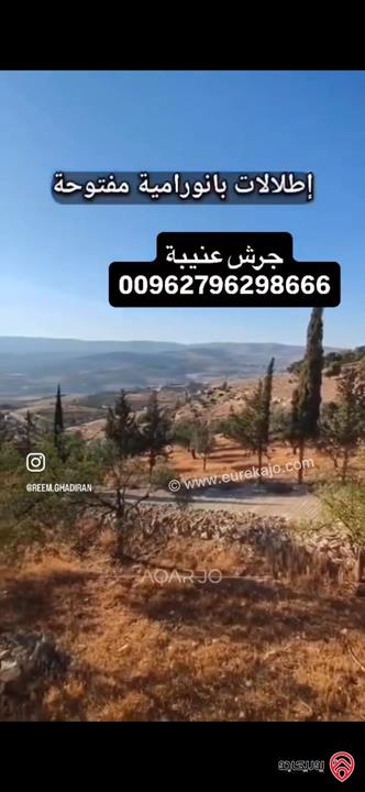 قطعة ارض استثمارية مساحة 3 دونم و 400م للبيع في جرش عنيبة