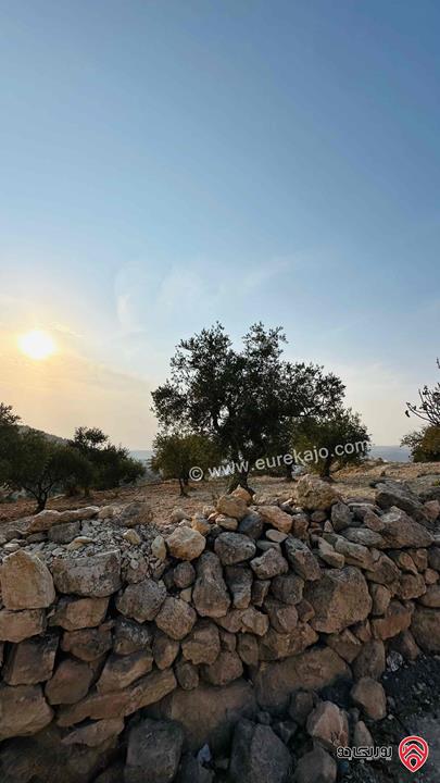 قطعة ارض مساحة 5 دونم و 856م للبيع في منطقة ماحص البلقاء منطقة قصور وفلل بجانب قصر الامير حسين ميرزا اطلالة غربية من المالك مباشرة 