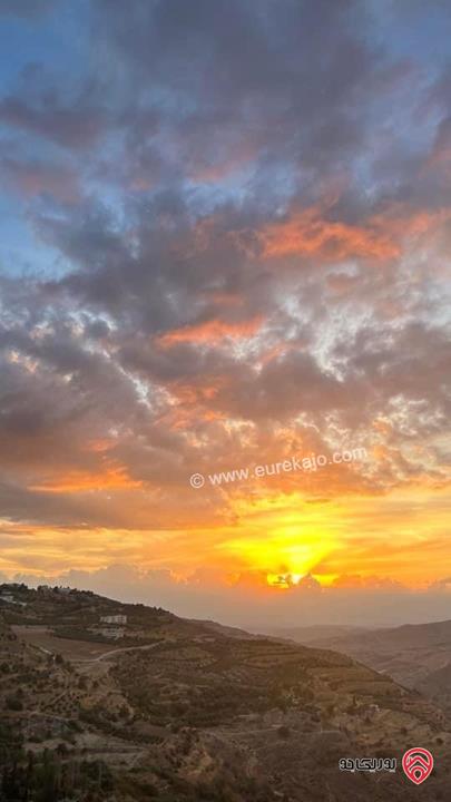 فيلا فاخرة مساحة 500م على أرض 1251م للبيع في عمان - مرج الحمام 