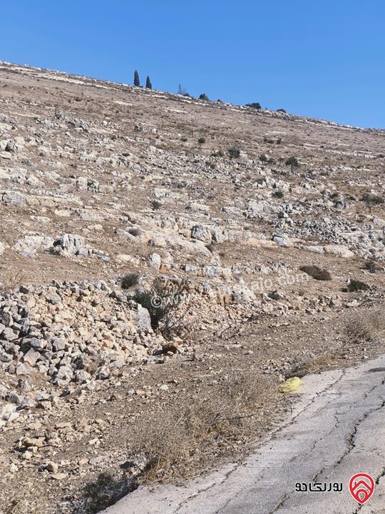 قطعة أرض مساحة 6 دونم و 172م للبيع في إربد لواء المزار الشمالي قرية صمد