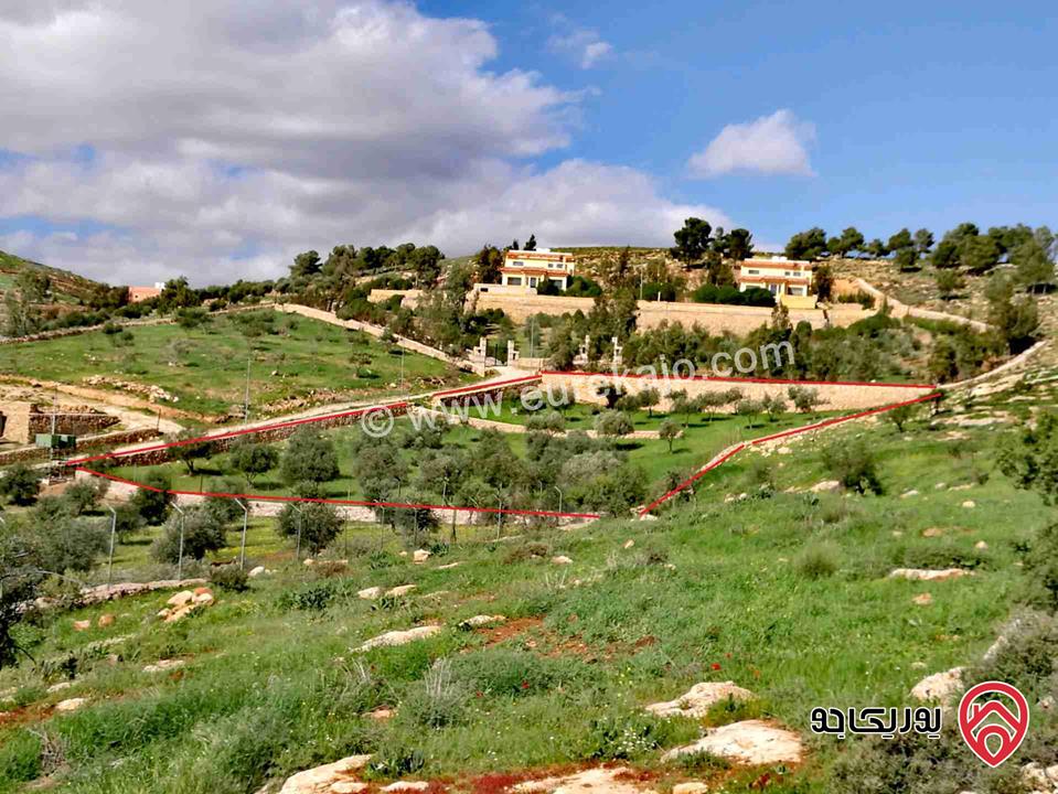 أرض مميزة فرصة للاستثمار الحقيقي مساحة 4 دونم للبيع في جرش - الكتة بين مزارع وفلل فخمه قريبة من طريق جرش عمان القديم