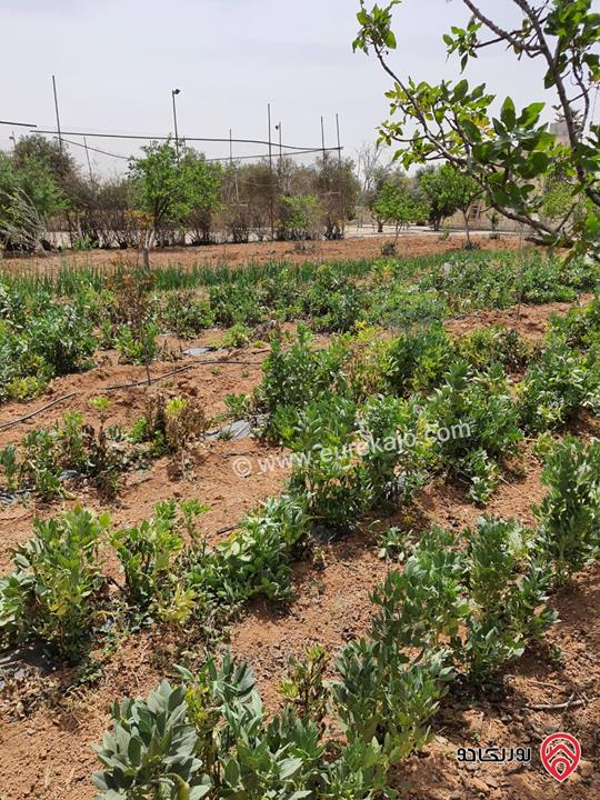 مزرعة مساحة الأرض 10 دونم للبيع في عمان - ام العمد خلف الاندلسية عليها فيلا