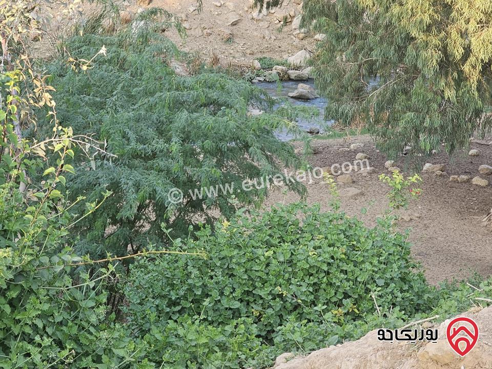 مزرعة مساحة 30 دونم للبيع في السلط – الصبيحي