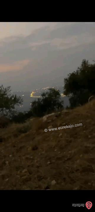 قطعة أرض مساحة 5856 متر للبيع في البلقاء - منطقة ماحص /الميده