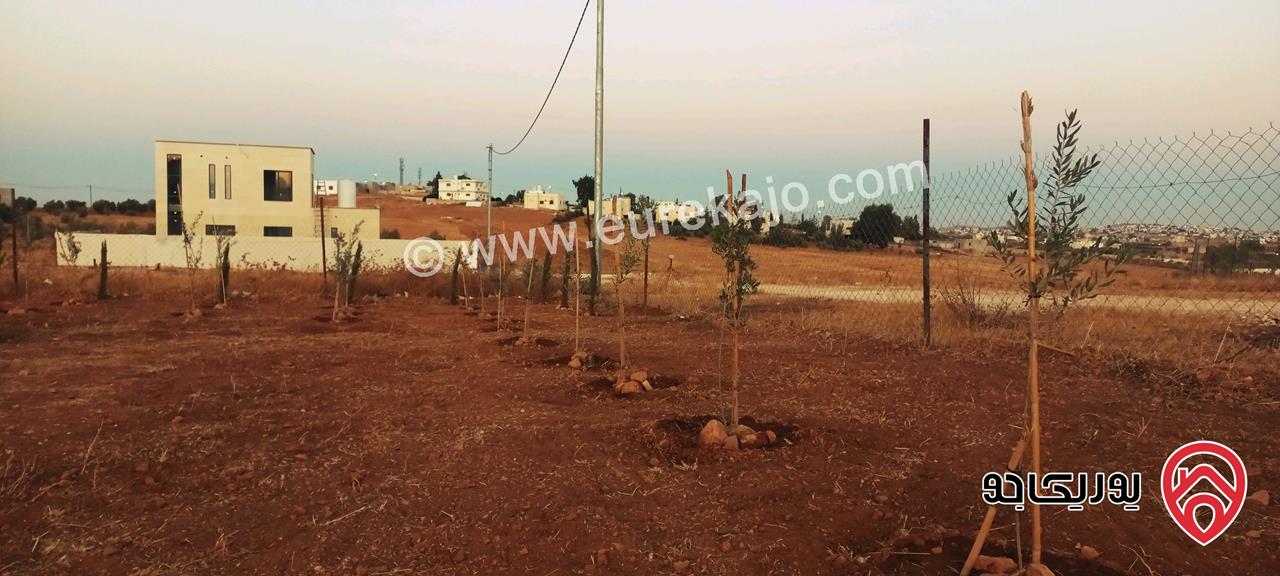 قطعة أرض مساحة 700م للبيع في المفرق