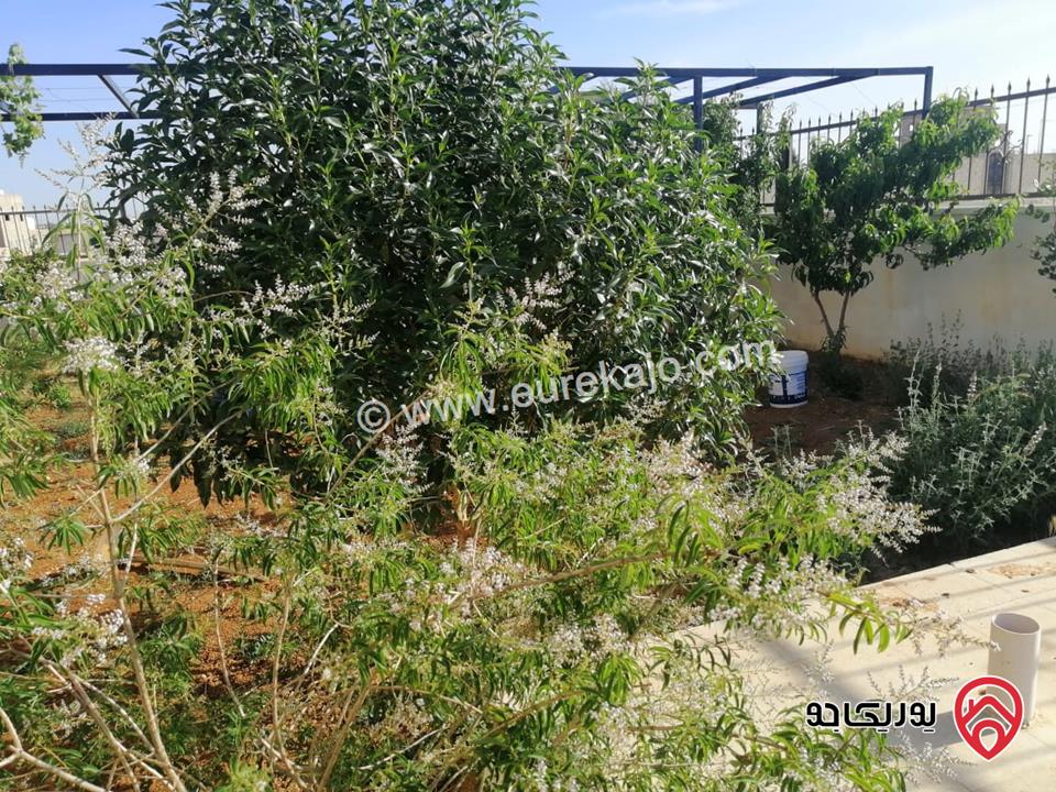 مزرعة مساحة الأرض 523م والبناء 110م للبيع في عمان - منطقة الجيزة بجانب المطار مباشرة