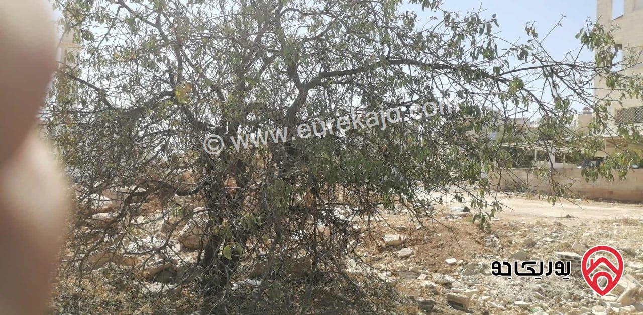 ارض مساحة 505م للبيع في عمان - طبربور