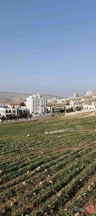 ارض مساحة 767م للبيع في عمان - شفا بدران