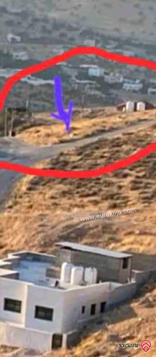 أرض مساحة 1 دونم للبيع في بيرين - محافظة الزرقاء