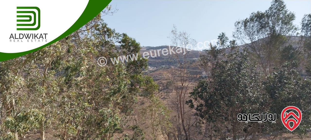 مشروع سياحي استثماري للبيع في ناعور / شارع البحر الميت مساحة الارض4650م والبناء 1000م موقع اطلالة مميز تصلح لمشروع استثماري