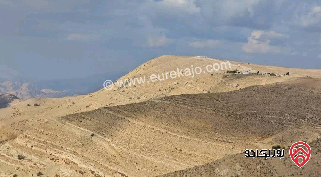 قطعة أرض مساحة 7 دونم و 500م للبيع في لواء الشوبك - قرية الجهير