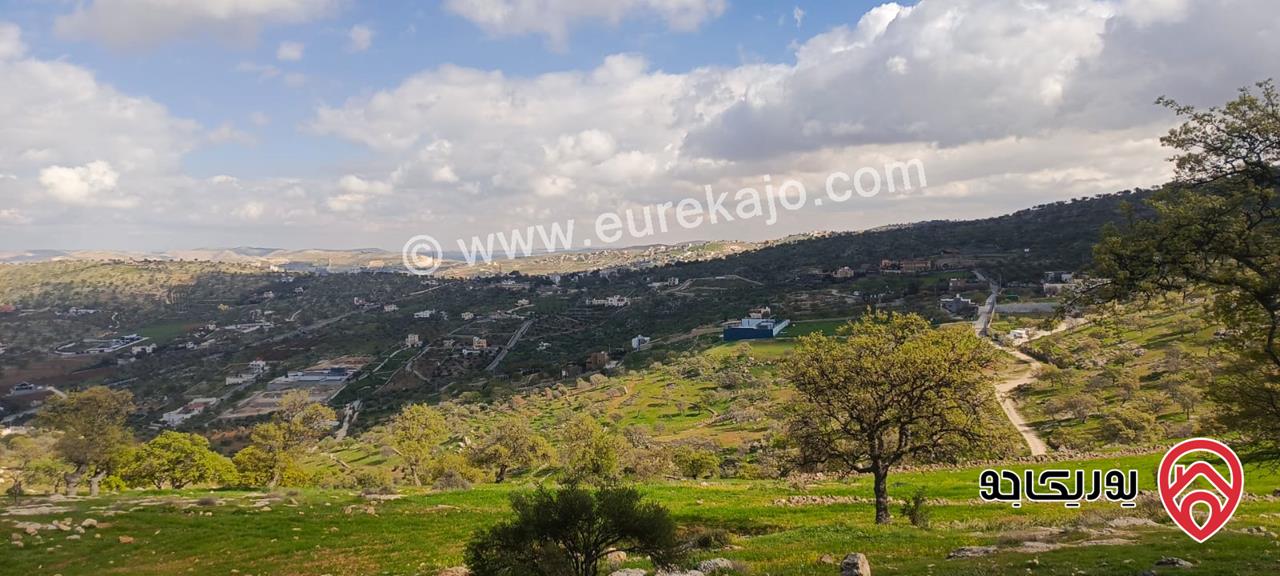 ارض مميزة مساحة 5 دونم و 570م للبيع في الزرقاء - أعلى مناطق العالوك / قضاء بيرين