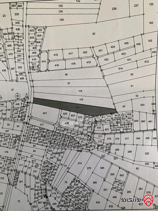 ارض استثمارية مساحة 21 دونم و 937م للبيع في مادبا - جرينة الشرقي
