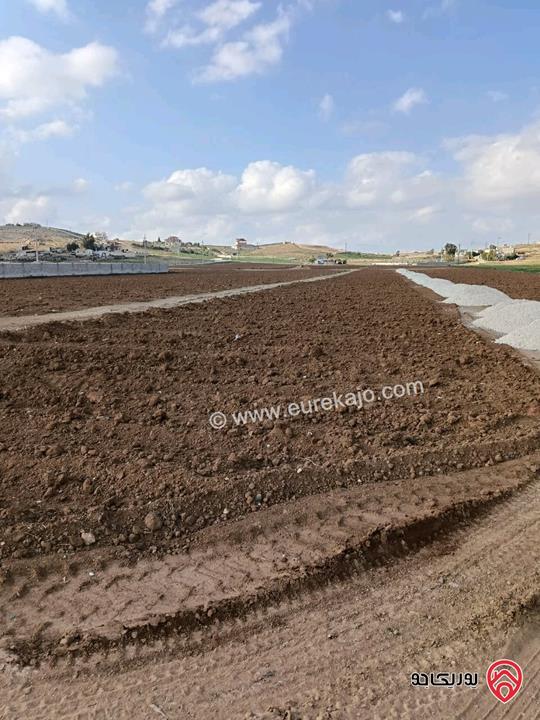 قطعة أرض مساحة 3 دونم و 400م للبيع في المفرق - الزيتونة