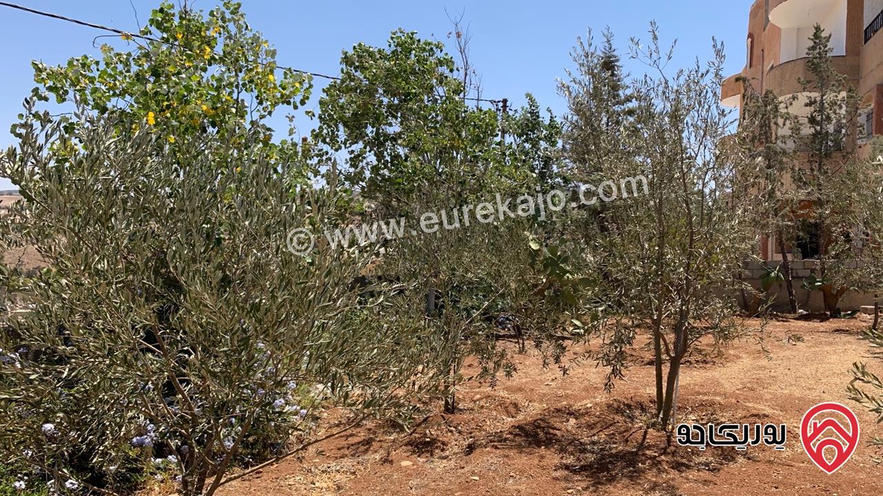 مزرعة مساحة الأرض 2 دونم للبيع بدون منزل في جرش حي الجبارات