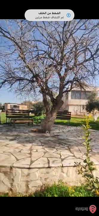 مزرعة فاخرة بمواصفات عالية مساحة البناء 200م على أرض 4 دونم للبيع في الزرقاء - بيرين