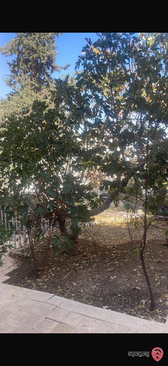 شقة ارضية مساحة 133م داخلي و 550م خارجي للبيع في عمان - ضاحية الحسين الرابية