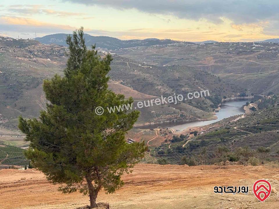 قطعة ارض مساحة 4 دونم للبيع في جرش مطلة على سد الملك طلال منطقة المجدل