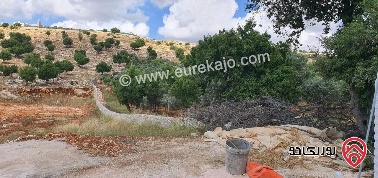أرض مساحة 6 دونم و 338م للبيع في عجلون - كفرنجه