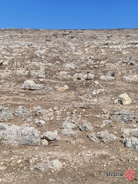 قطعة أرض مساحة 6 دونم و 172م للبيع في إربد لواء المزار الشمالي قرية صمد