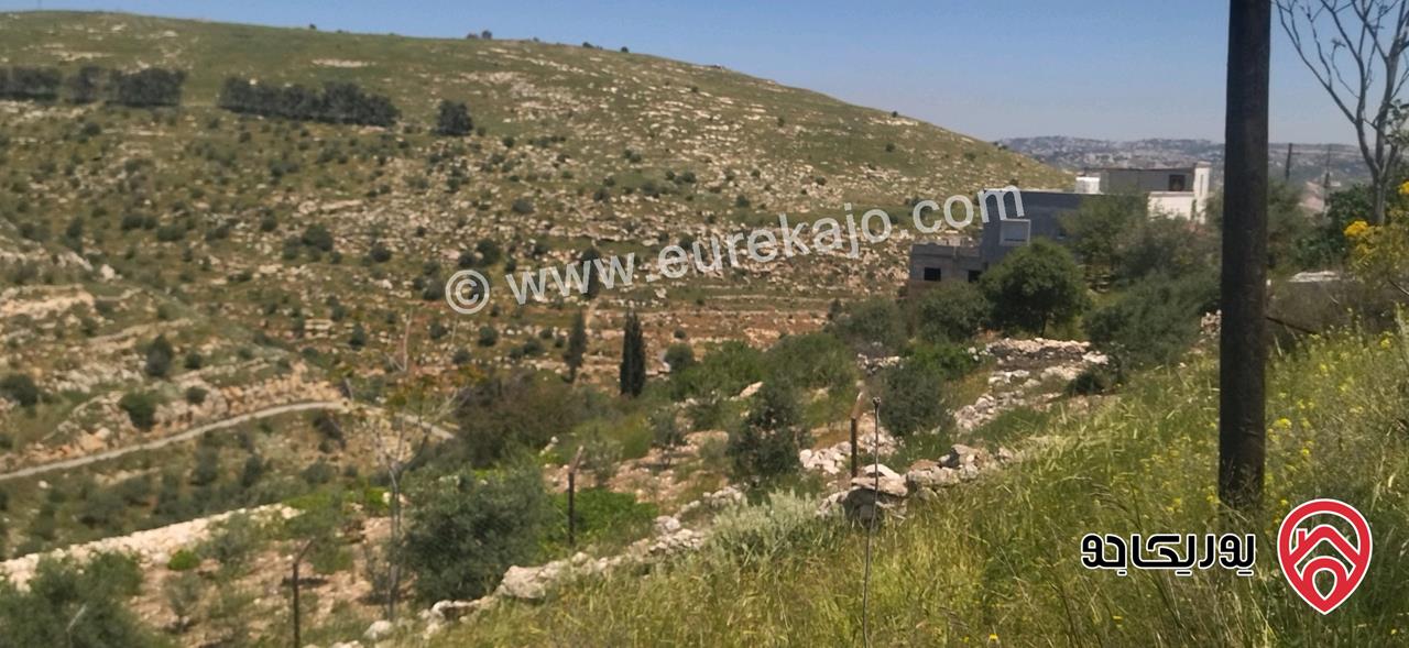 ارض مساحة 4 دونم و 332م للبيع في السلط المزود 