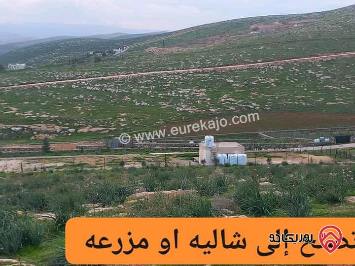 قطعة أرض مساحة 3 دونم و 400م للبيع ضمن مشروع عين والمعمرية 55 قطعة قوشان مستقل بسعر 15 الف 