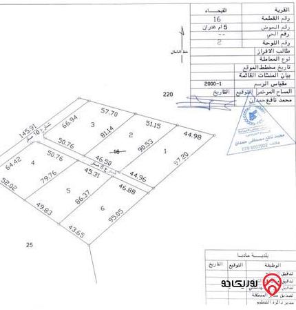 قطعة أرض مساحة 25 دونم مقسمة لست قطع أراضي مساحة القطعة 4 دونم بسعر 10 ألاف للدونم الواحد للبيع في مأدبا - الفيحاء