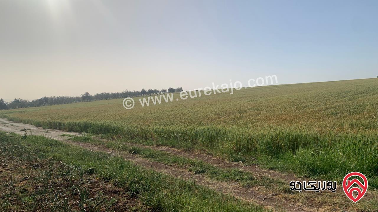 قطعة ارض مساحة 10 دونم للبيع شمال مدينة اربد منطقة ام قيس