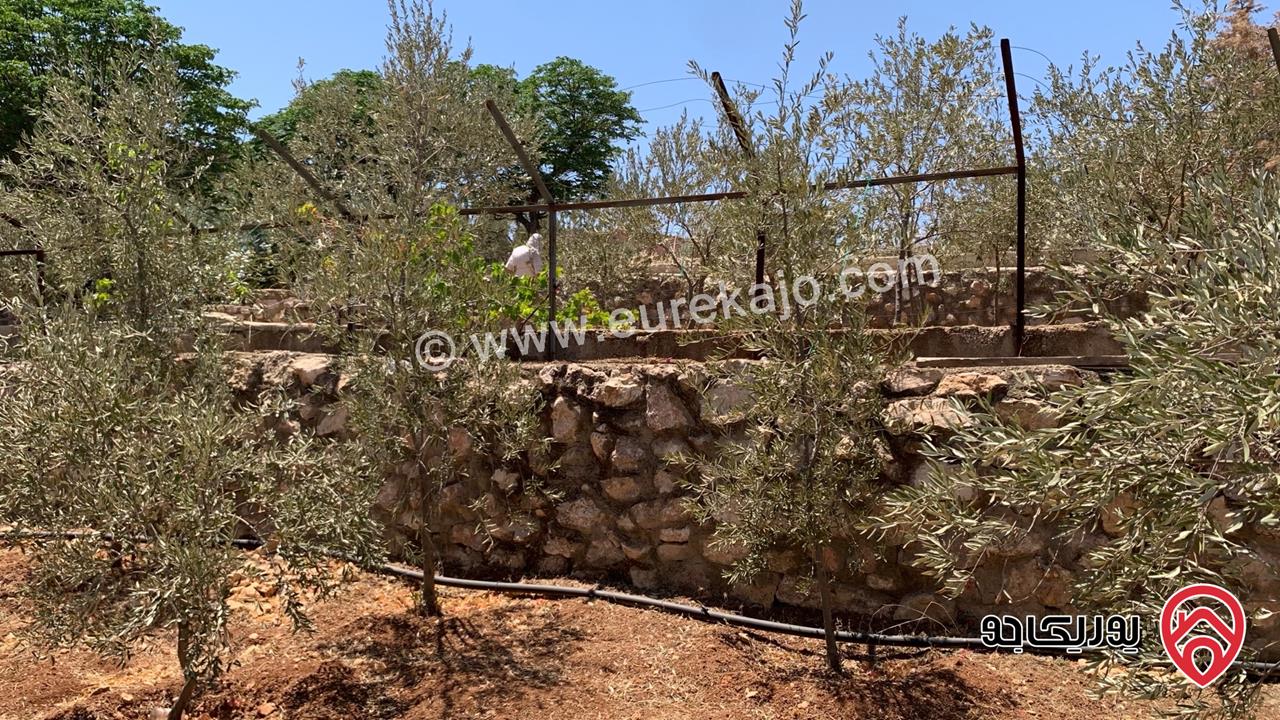 مزرعة مساحة الأرض 2 دونم للبيع بدون منزل في جرش حي الجبارات