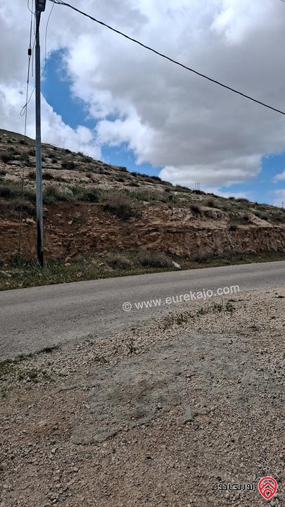 ارض مساحة 574م للبيع في الزرقاء - جريبا مقابل شفا بدران حوض المهوس