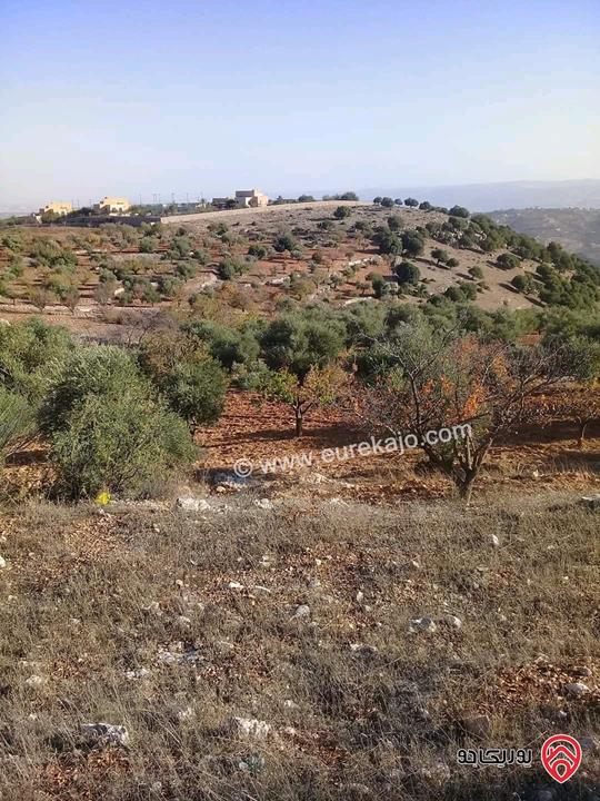 مزرعة مساحة الأرض 16 دونم للبيع في جرش - سوف
