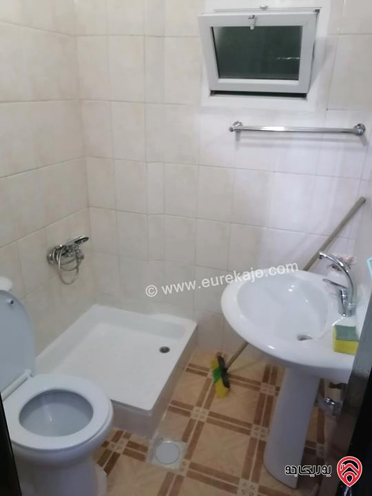 شقق مفروشة للايجار في اربد شارع الجامعة 