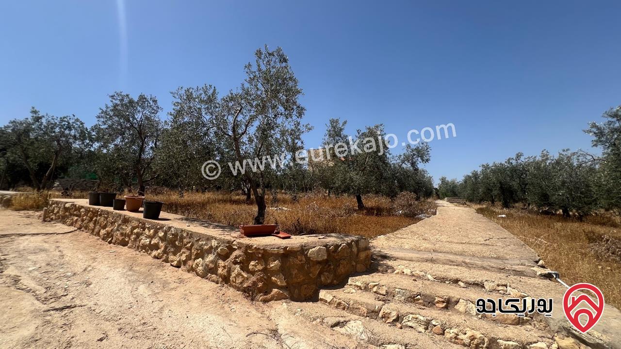 مزرعة مساحة 9 دونم و 708م للبيع في البلقاء - بمنطقة تل الرمان بالقرب من مطعم خيل و ليل 