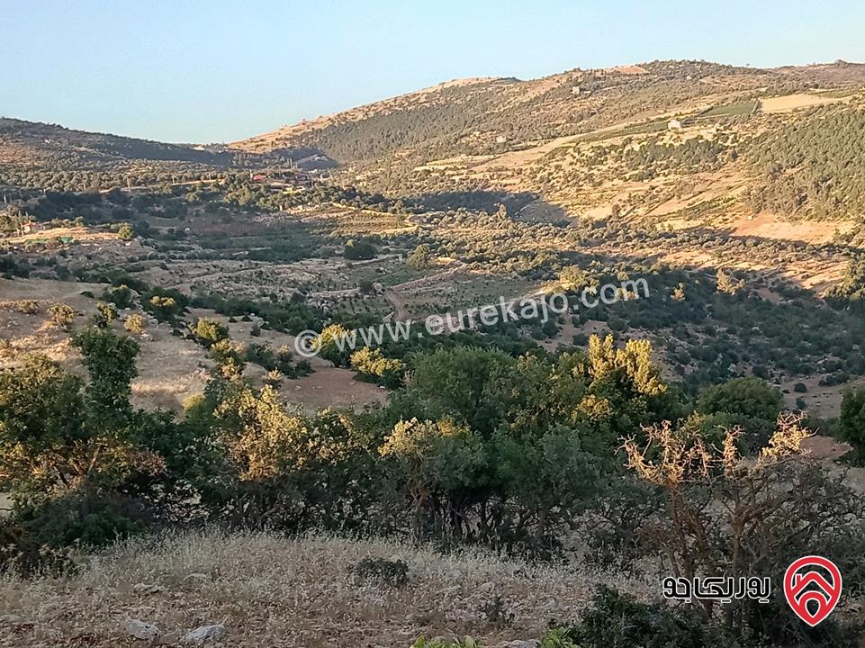 أرض مميزة مساحة 2 دونم للبيع في محافظة عجلون منطقة عنجرة / خربة الحنيش الأثرية 