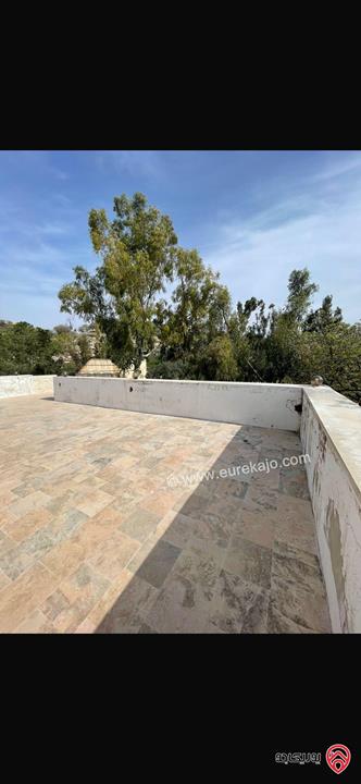 مزرعة مساحة الأرض 10 دونم والبناء 500م للبيع في عمان - منطقة وادي السير البصة ام الخنازير 