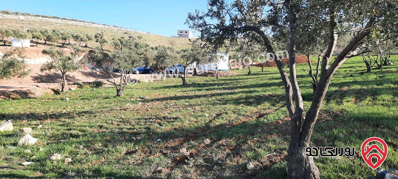  قطعة ارض 850 متر في منطقة بناء سكني حديث للبيع في الزرقاء - بيرين رجم الشوف