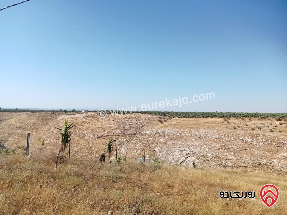 مزرعة مساحة 8700م للبيع في اربد بني كنانه منطقة يبلا 