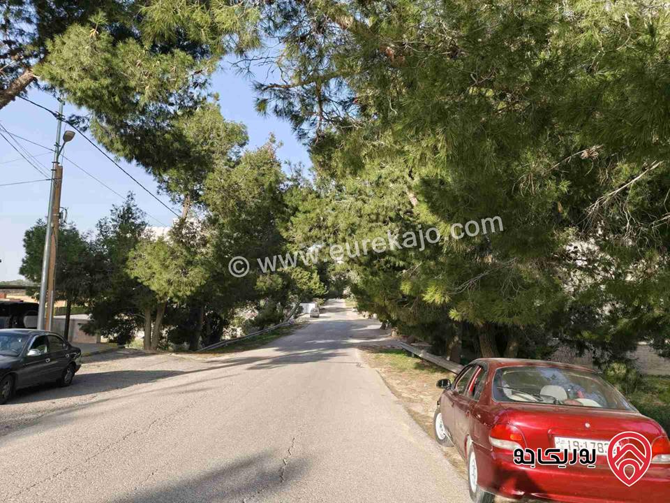 قطعتين أرض مساحة 2 دونم للبيع في عمان - مرج الحمام 