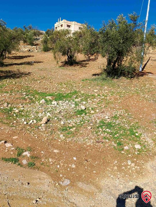 أرض مساحة 500م للبيع في الزرقاء - بيرين 