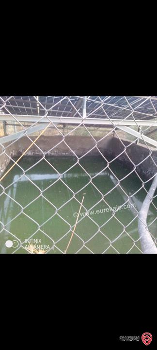 مزرعة مع نبعة مساحة 10 دونم و 800م للبيع في جرش - الكتة